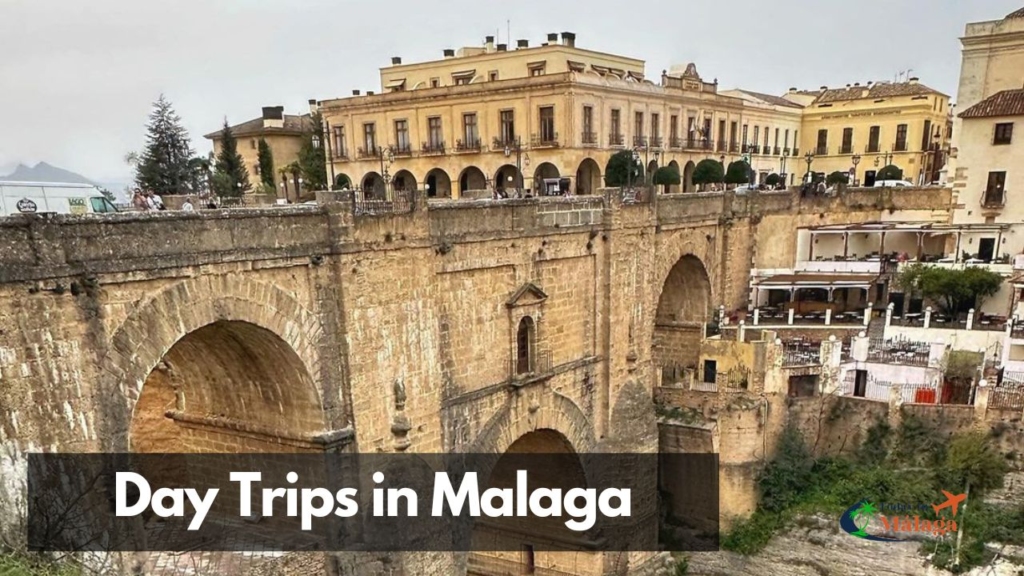 Day trips in malaga